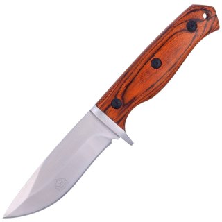Nóż myśliwski Puma Solingen Pakka Wood, Satin (565