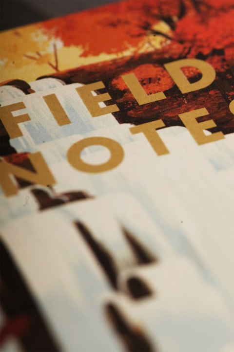 Notes Field Notes Parki Narodowe USA Denali Cuya Notes Field Notes Parki Narodowe USA Denali Cuya
