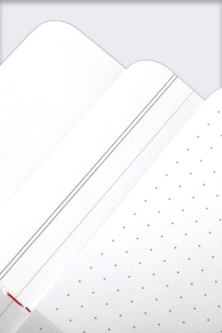 Notes Field Notes Spring 2024 Flora Edition Mix