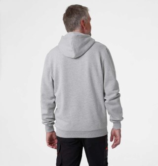Bluza Helly Hansen Graphic Hoodie Light Grey