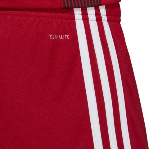 Spodenki adidas Tastigo 19 Shorts M DP3681 Spodenki adidas Tastigo 19 Shorts M DP3681