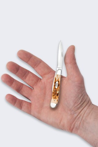 Nóż Składany Case Peanut SS Amber Bone