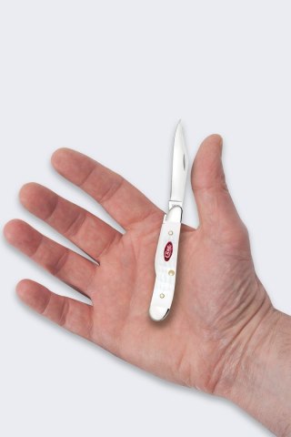 Nóż Składany Case SparXX Peanut SS White
