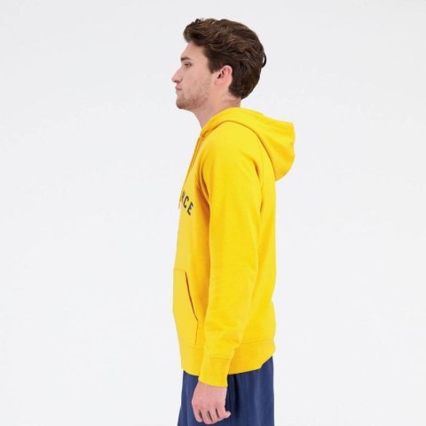 Bluza New Balance Sport Seasonal French Terry H VGL M MT31901VGL