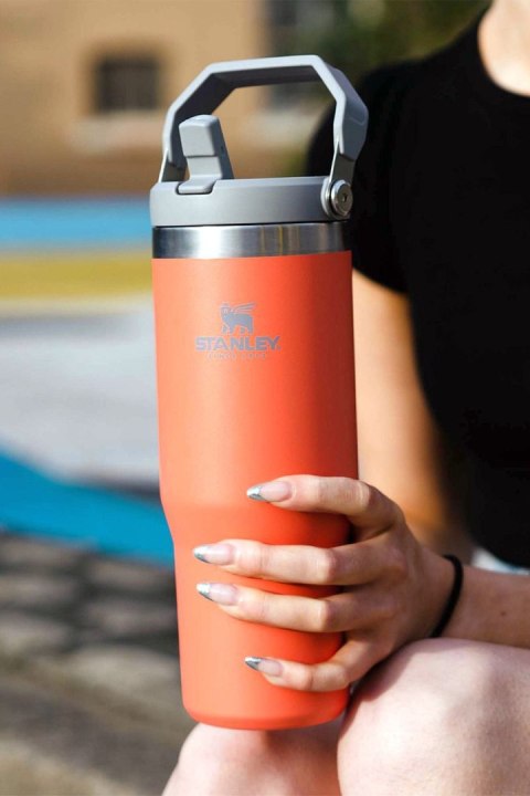 Stanley kubek The IceFlow Flip Straw Tumbler 0,89L Stanley kubek The IceFlow Flip Straw Tumbler 0,89L