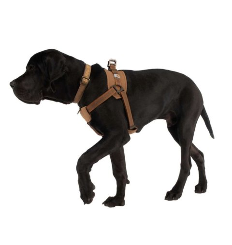 Szelki Treningowe Dla Psa Carhartt Training Harnes