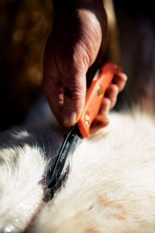 Nóż Outdoor Edge Razor Lite Orange