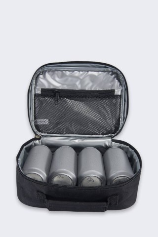 Izolowany Lunchbox Carhartt 4 Can Black