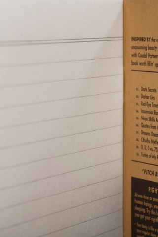 Notes Field Notes Pirch Black Large Linie 2 Pa