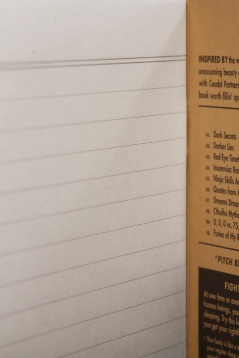 Notes Field Notes Pirch Black Large Linie 2 Pa Notes Field Notes Pirch Black Large Linie 2 Pa