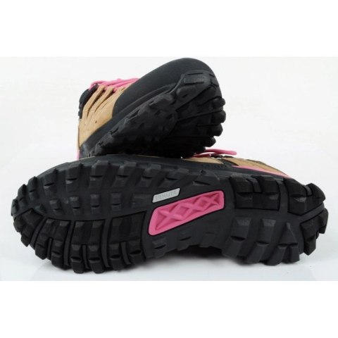 Buty trekkingowe Aku Alterra Lite GTX W 716457