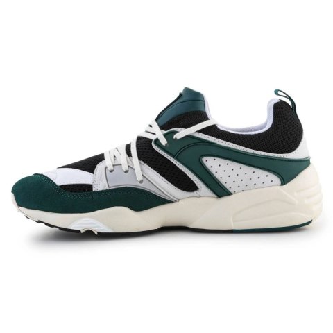 Buty Puma Blaze Of Glory Prm M 387575-02