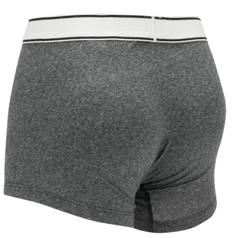 Bielizna Levi's Boxer 2 Pairs Briefs 37149-0398 Bielizna Levi's Boxer 2 Pairs Briefs 37149-0398