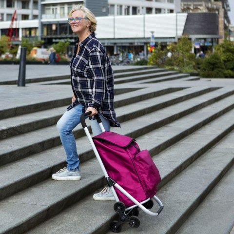 Wózek zakupowy Expert Premium 604352