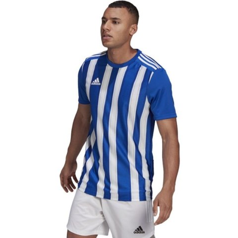 Koszulka adidas Striped 21 JSY M GH7321 Koszulka adidas Striped 21 JSY M GH7321