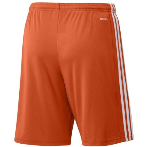 Spodenki adidas Squadra 21 Short M GN8084 Spodenki adidas Squadra 21 Short M GN8084