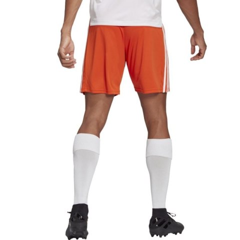 Spodenki adidas Squadra 21 Short M GN8084 Spodenki adidas Squadra 21 Short M GN8084
