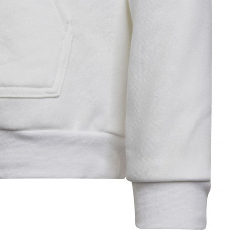Bluza adidas Entrada 22 Hoody Jr HG6303 Bluza adidas Entrada 22 Hoody Jr HG6303