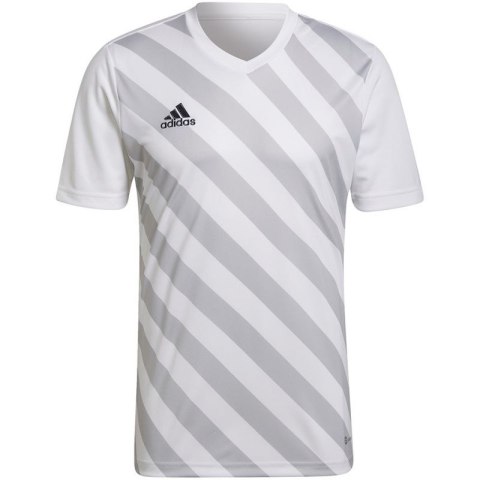 Koszulka adidas Entrada 22 Graphic Jersey M HF0129