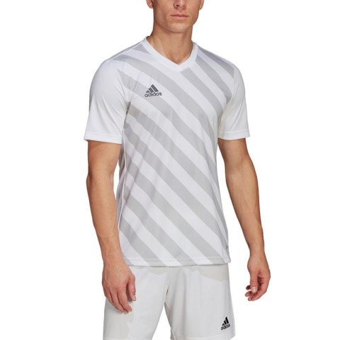 Koszulka adidas Entrada 22 Graphic Jersey M HF0129