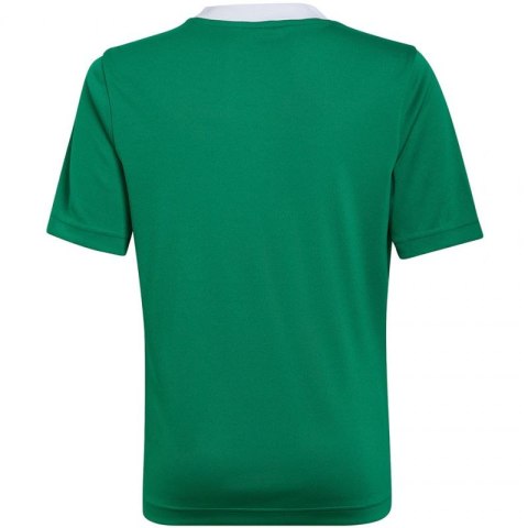 Koszulka adidas Entrada 22 Jersey Jr HI2126 Koszulka adidas Entrada 22 Jersey Jr HI2126