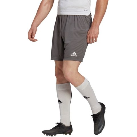 Spodenki adidas Entrada 22 M H57505