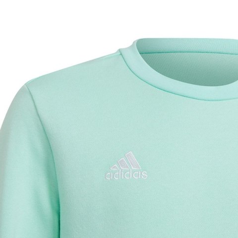 Bluza adidas Entrada 22 Sweat Top Jr HC5042 Bluza adidas Entrada 22 Sweat Top Jr HC5042