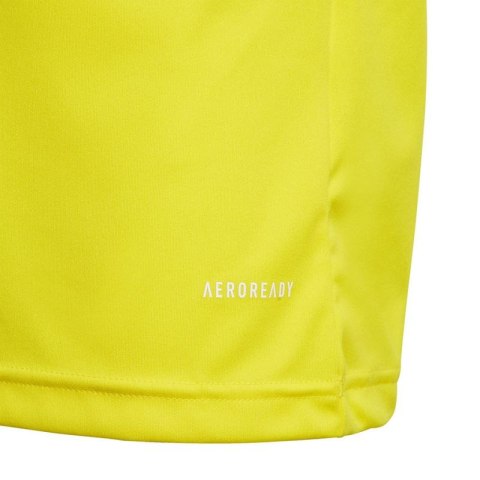 Koszulka adidas Squadra 21 Polo Jr GP6426 Koszulka adidas Squadra 21 Polo Jr GP6426