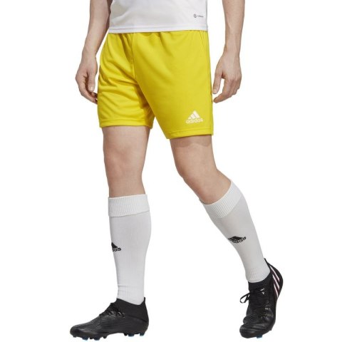Spodenki adidas Entrada 22 M IC7404