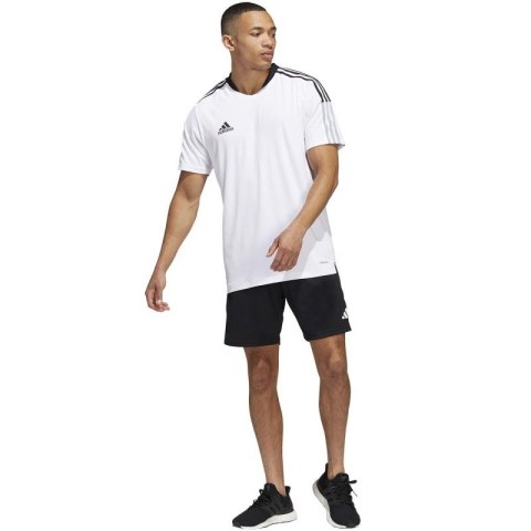 Spodenki adidas Tiro 23 Competition M HL3923 Spodenki adidas Tiro 23 Competition M HL3923