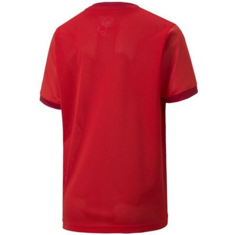 Koszulka Puma teamGOAL 23 Jersey Jr 704160 01 Koszulka Puma teamGOAL 23 Jersey Jr 704160 01