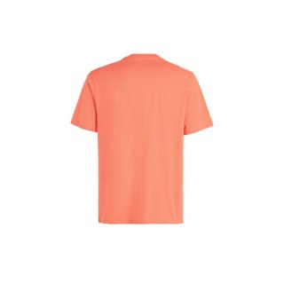 Koszulka O'Neill Cali Original T-Shirt M 92800613165