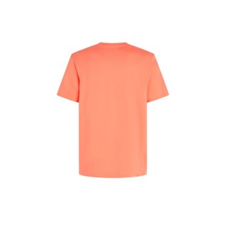 Koszulka O'Neill Jack Neon T-Shirt M 92800613602