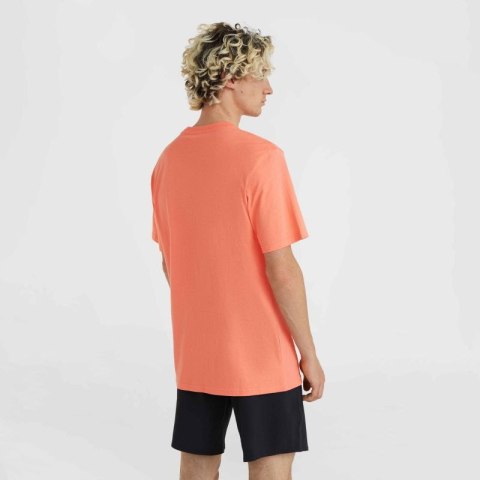 Koszulka O'Neill Jack Neon T-Shirt M 92800613602