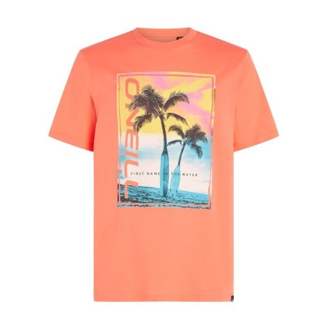 Koszulka O'Neill Jack Neon T-Shirt M 92800613602