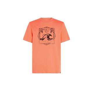 Koszulka O'Neill Mix & Match Wave T-Shirt M 92800613917