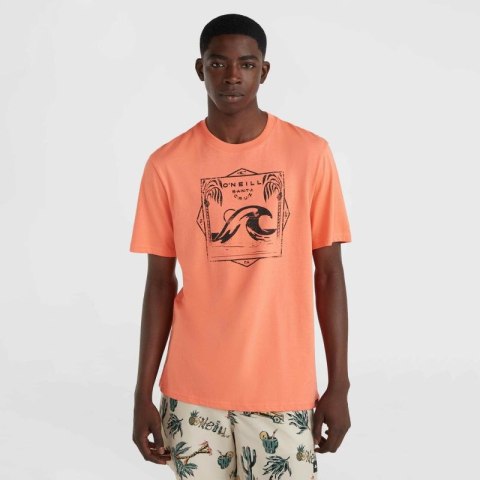 Koszulka O'Neill Mix & Match Wave T-Shirt M 92800613917 Koszulka O'Neill Mix & Match Wave T-Shirt M 92800613917