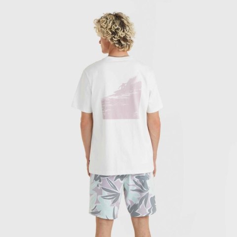 Koszulka O'Neill Og Bt T-Shirt M 92800613964 Koszulka O'Neill Og Bt T-Shirt M 92800613964