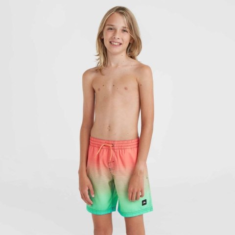 Szorty kąpielowe O'Neill Jack Cali Gradient 14'' Swim Shorts Jr 92800613570 Szorty kąpielowe O'Neill Jack Cali Gradient 14'' Swim Shorts Jr 92800613570