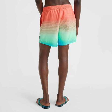 Szorty kąpielowe O'Neill Jack Cali Gradient 15'' Swim Shorts M 92800613575 Szorty kąpielowe O'Neill Jack Cali Gradient 15'' Swim Shorts M 92800613575