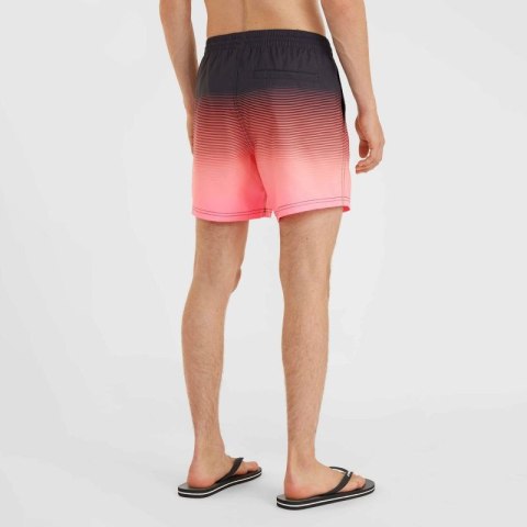Szorty kąpielowe O'Neill Jack Cali Gradient 15'' Swim Shorts M 92800613579 Szorty kąpielowe O'Neill Jack Cali Gradient 15'' Swim Shorts M 92800613579