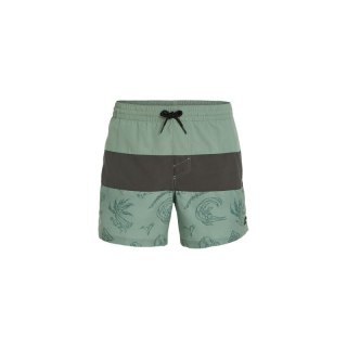 Szorty kąpielowe O'Neill Mix&Match Cali Block 15'' M 92800613820