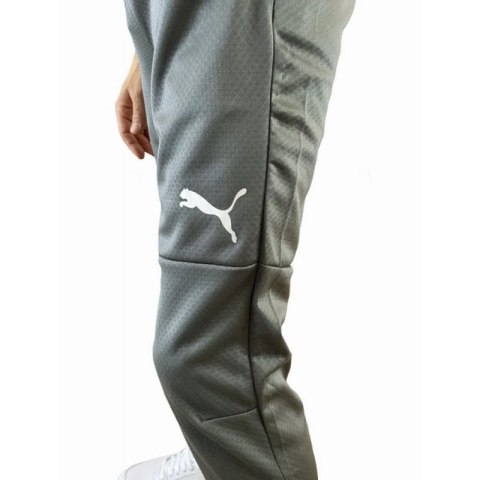 Spodnie Puma Training M 65738 013 Spodnie Puma Training M 65738 013
