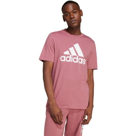 Koszulka adidas Essentials Single Jersey Big Logo Tee M IX0137 Koszulka adidas Essentials Single Jersey Big Logo Tee M IX0137