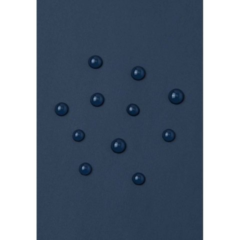 Spodnie przeciwdeszczowe Reima Lammikko Jr 5100026A-6980