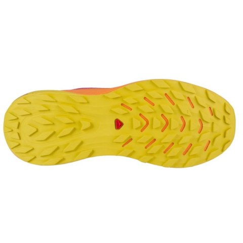 Buty do biegania Salomon Ultra Flow W 475250