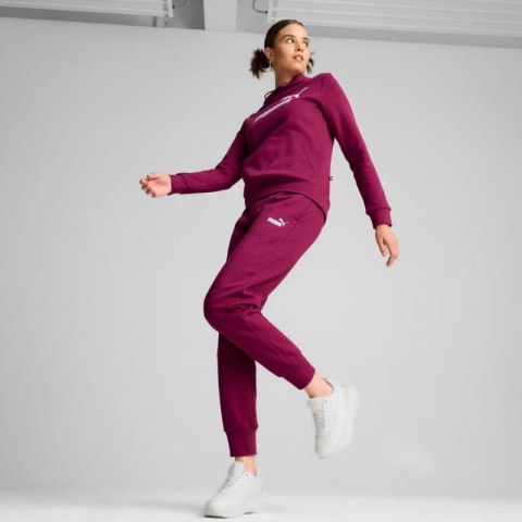 Bluza Puma ESS Logo Hoodie FL W 586789 52 Bluza Puma ESS Logo Hoodie FL W 586789 52