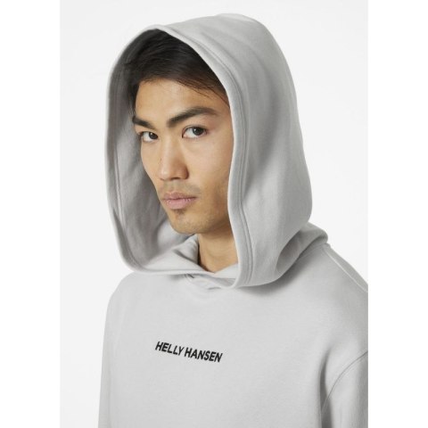 Bluza Helly Hansen Core Graphic Sweat Hoodie M 53924 825 Bluza Helly Hansen Core Graphic Sweat Hoodie M 53924 825