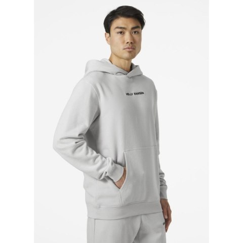 Bluza Helly Hansen Core Graphic Sweat Hoodie M 53924 825 Bluza Helly Hansen Core Graphic Sweat Hoodie M 53924 825