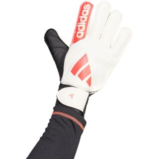 Rękawice bramkarskie adidas Copa Club Goalkeeper M JH3789